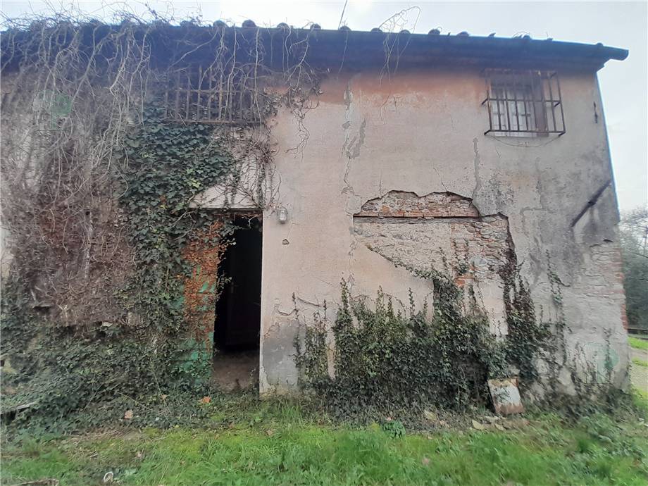 Vendita Rustico/Casa di campagna Capannori #294 n.4