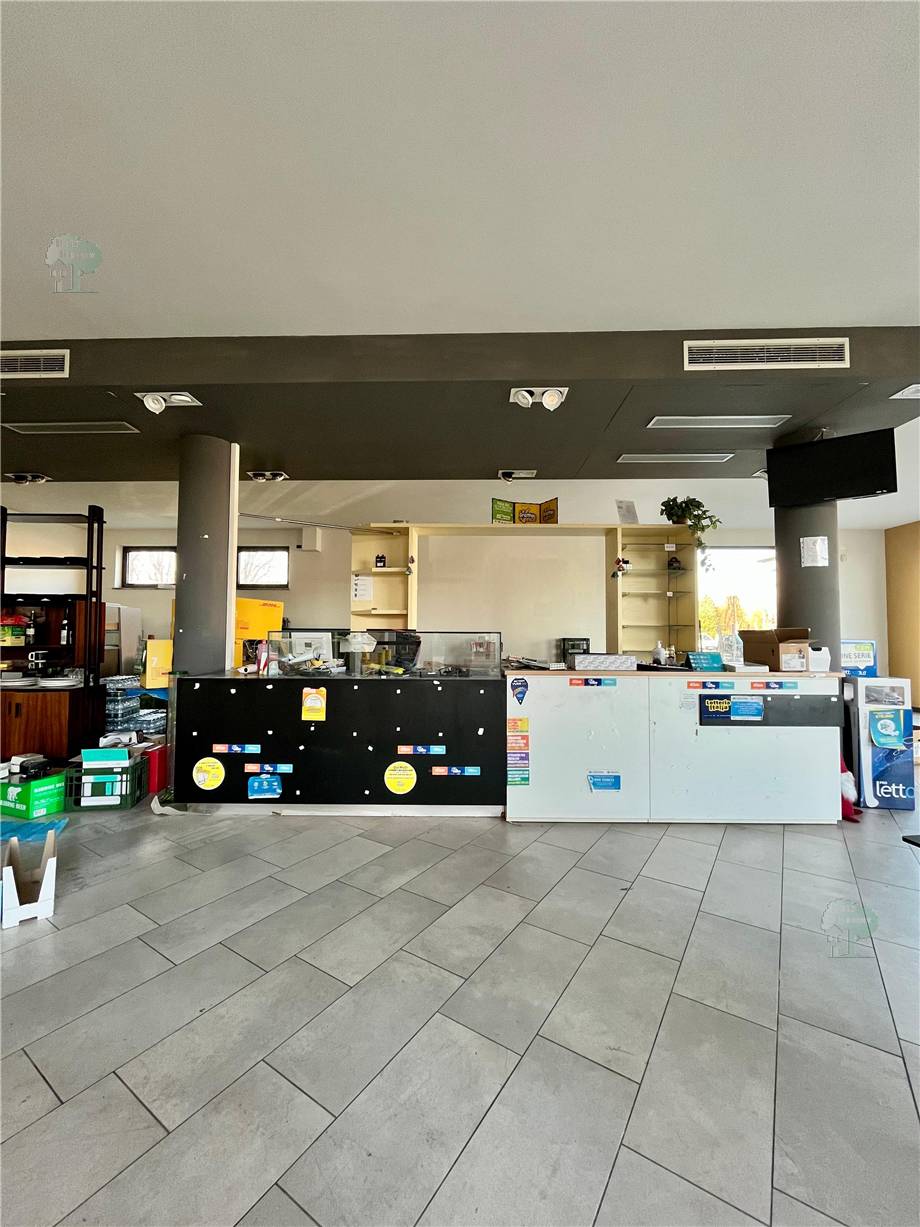 To rent Business premises Capannori #296 n.2