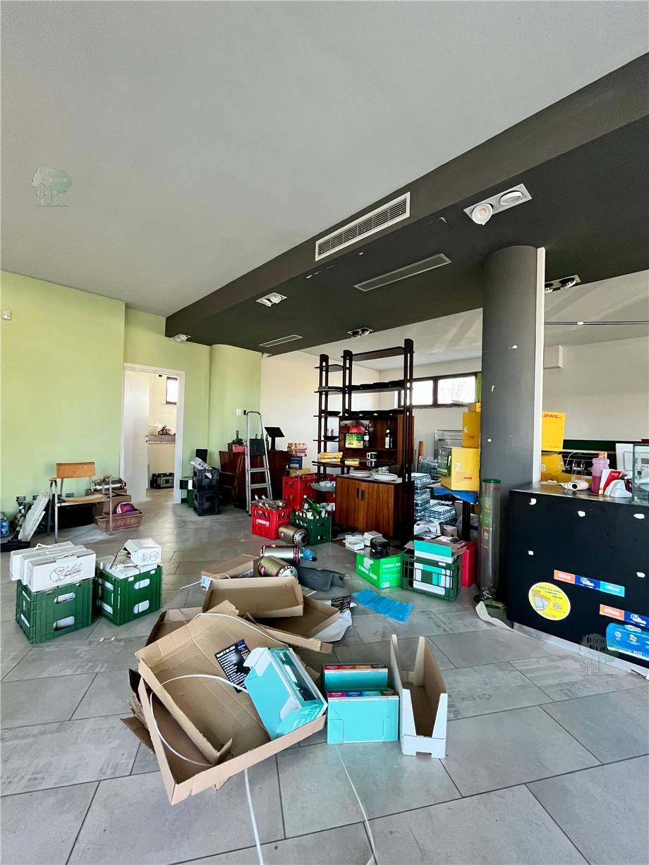 To rent Business premises Capannori #296 n.5