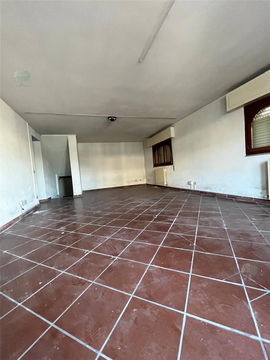 To rent Storage Capannori  #298 n.2