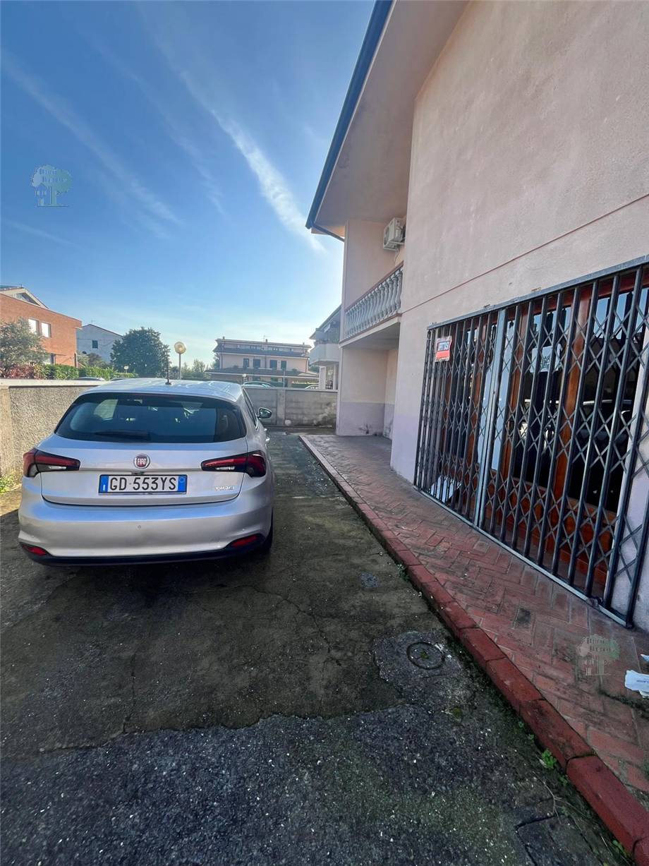 To rent Storage Capannori  #298 n.5