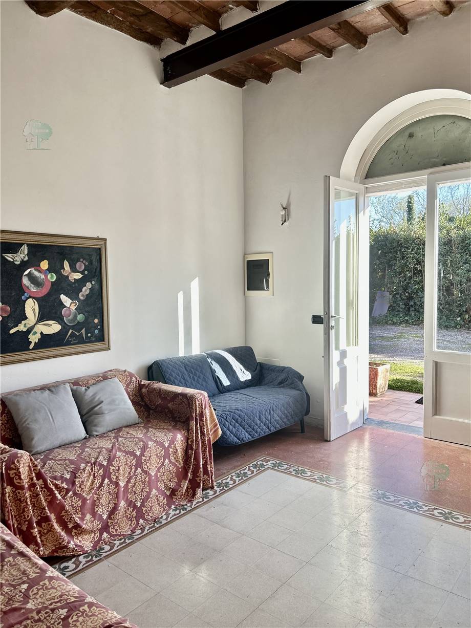 Vendita Terratetto/Terracielo Lucca San Filippo #307 n.1