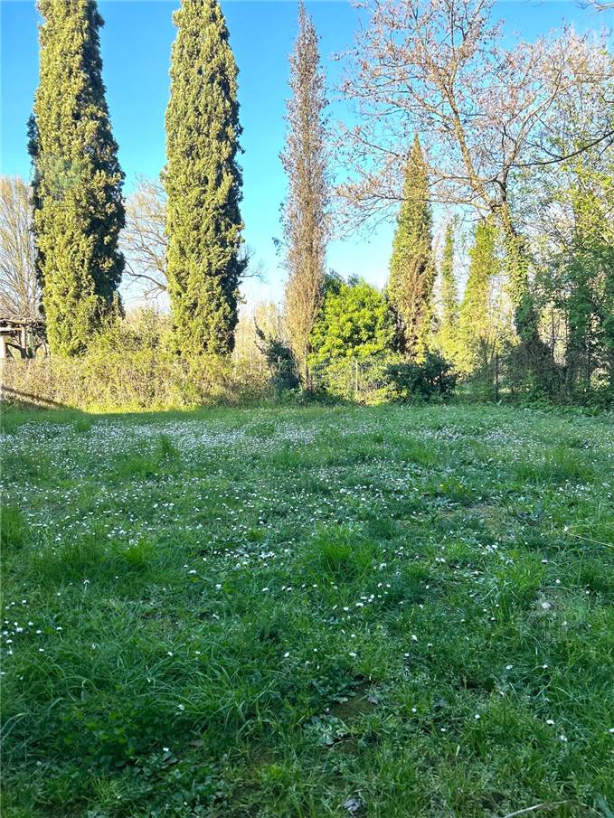 Terratetto/Terracielo Lucca 311