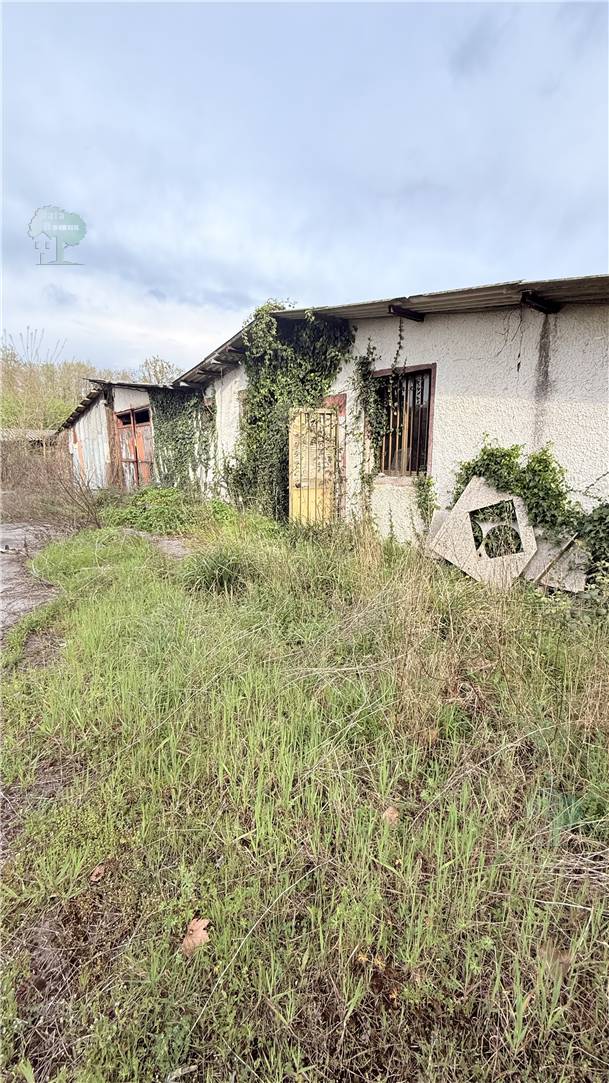 Venta Nave Capannori  #312 n.2