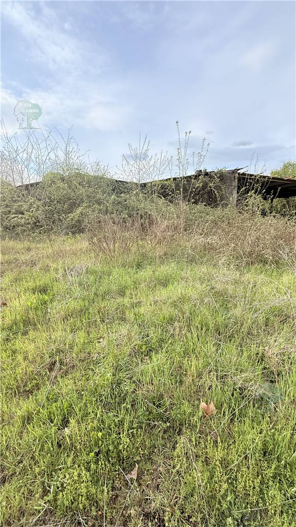 Venta Nave Capannori  #312 n.3