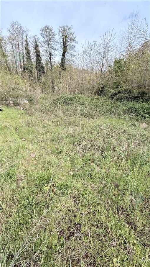 Venta Nave Capannori  #312 n.4