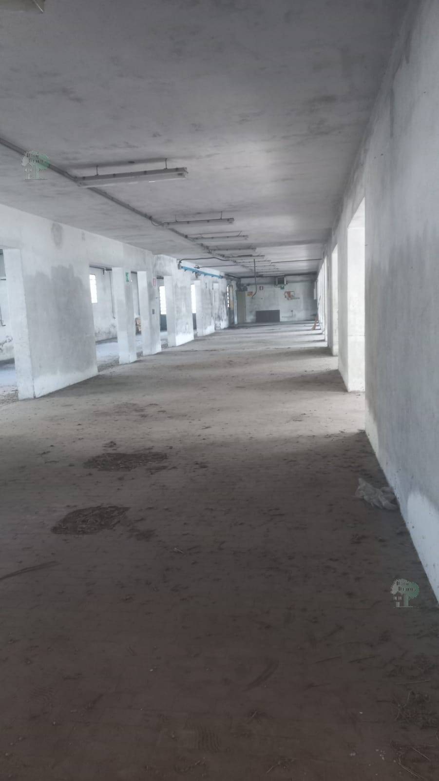 For sale Warehouse Capannori  #319 n.4