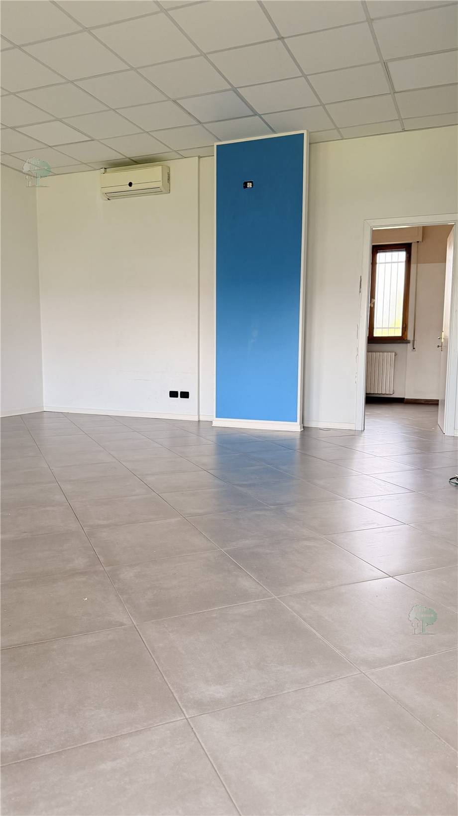 Local comercial Capannori 326