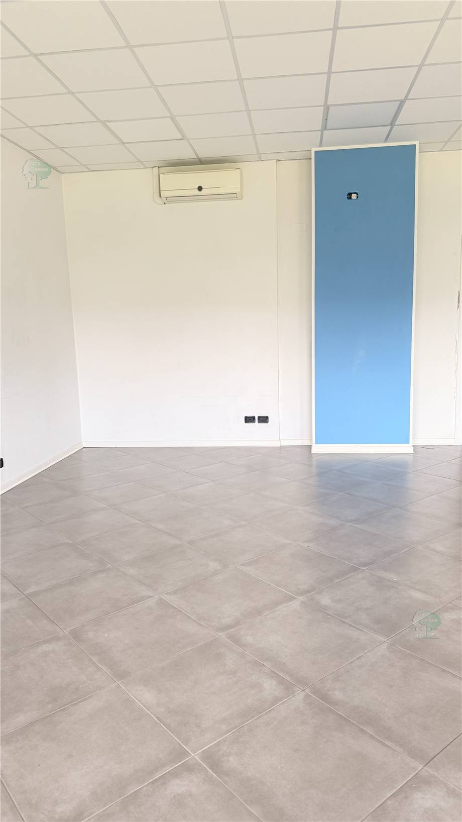 Alquiler Local comercial Capannori  #326 n.2