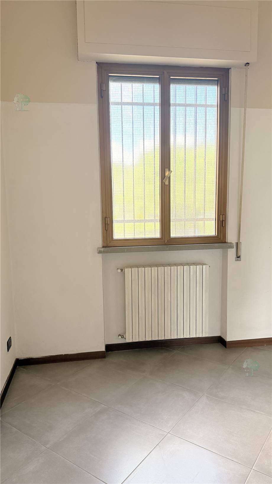 Alquiler Local comercial Capannori  #326 n.3