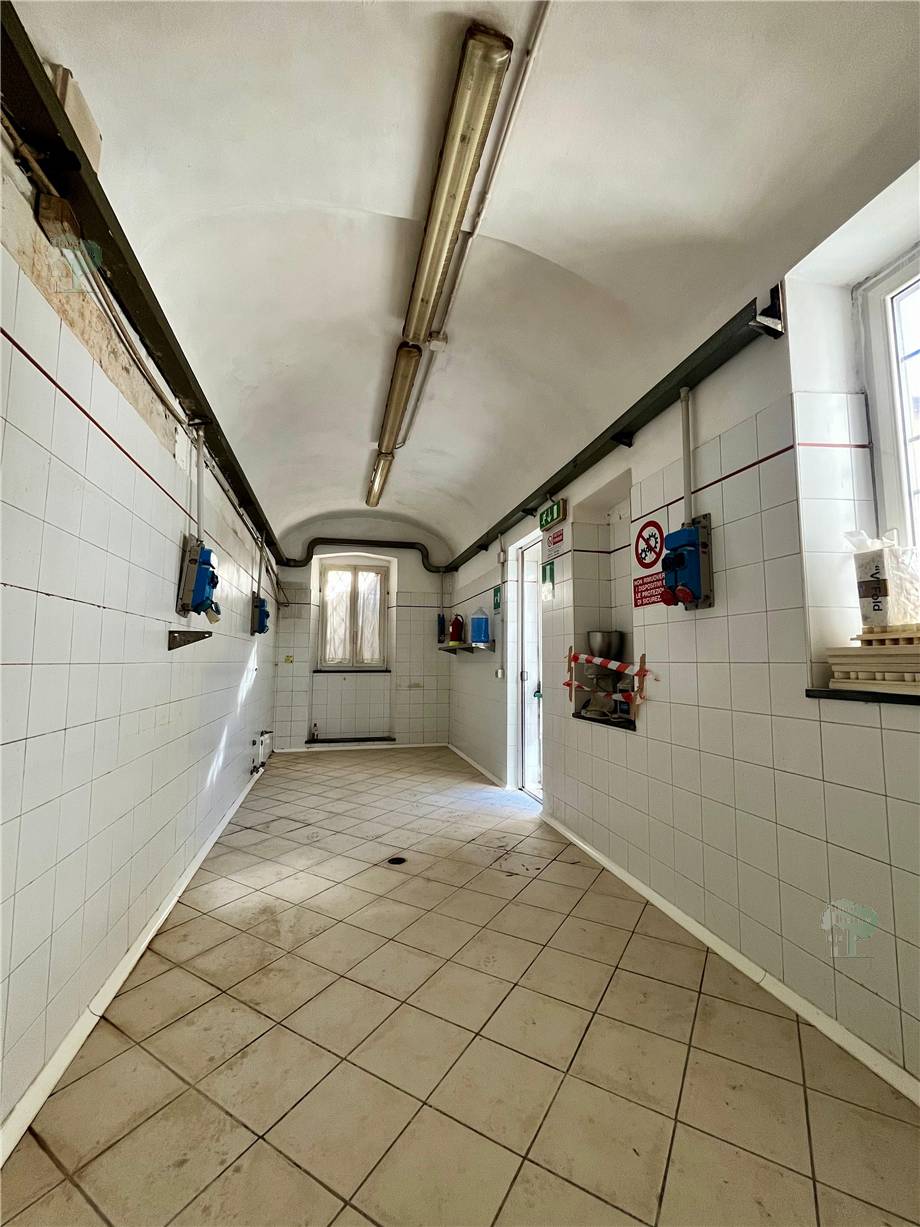 For sale Business premises Lucca Borgo Giannotti #328 n.3