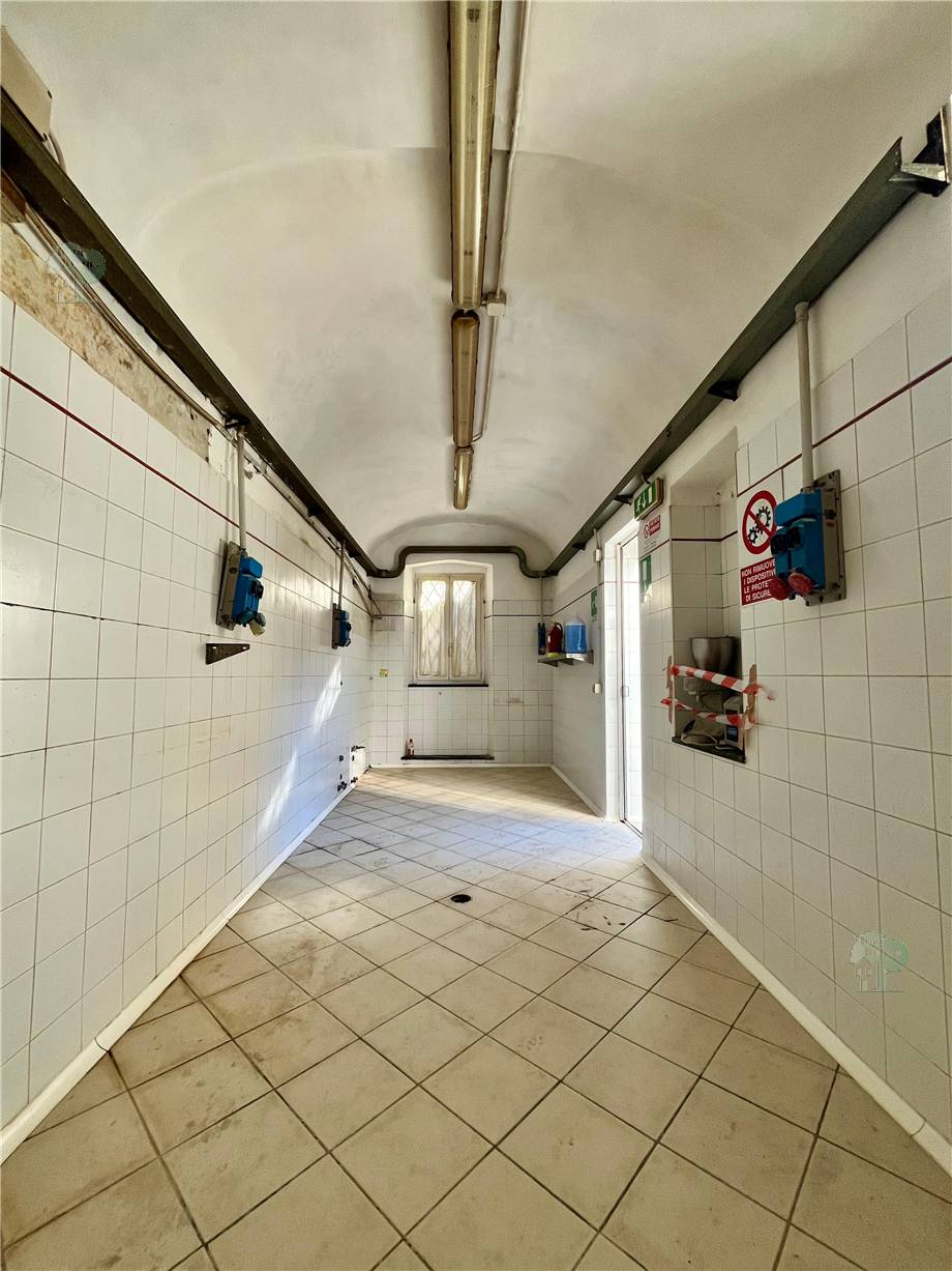 For sale Business premises Lucca Borgo Giannotti #328 n.5