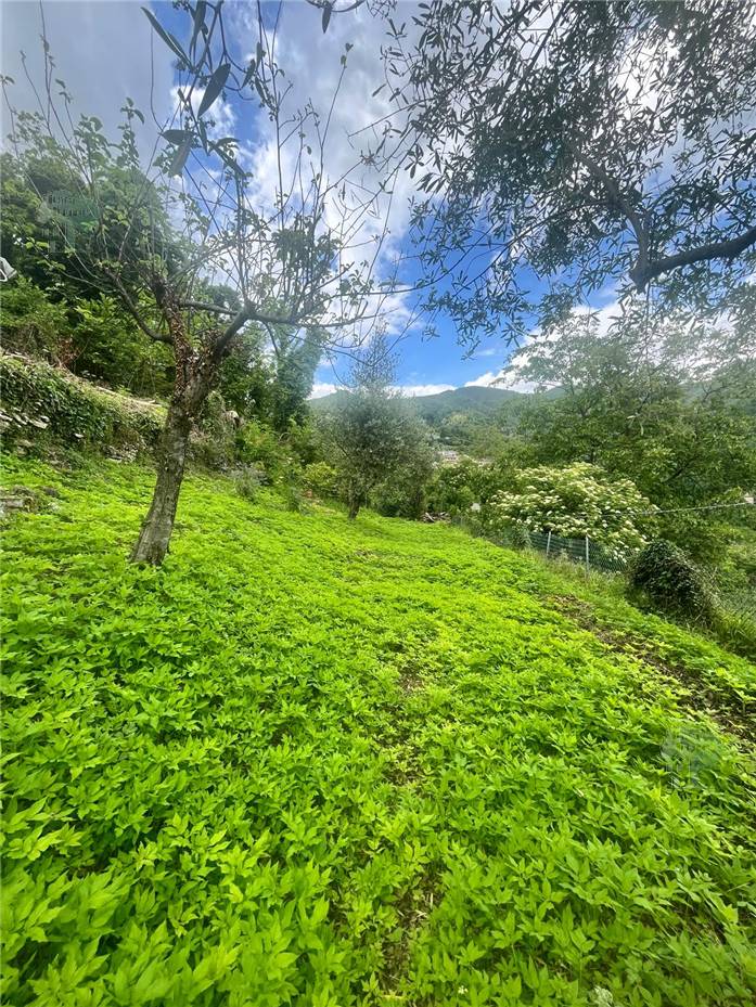 For sale Terratetto/Terracielo Pescaglia  #330 n.3