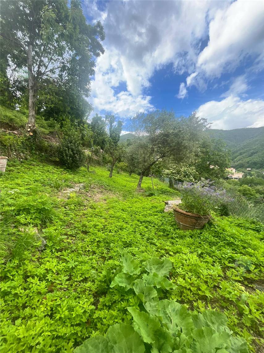 For sale Terratetto/Terracielo Pescaglia  #330 n.4
