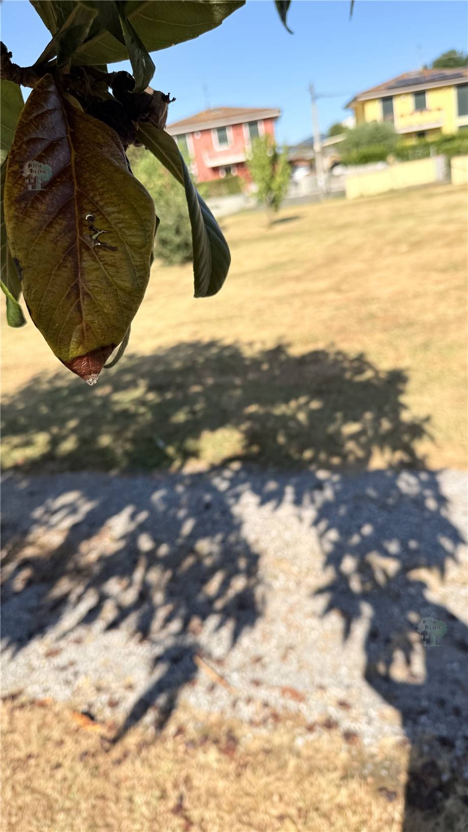 For sale Country house Capannori #335 n.4