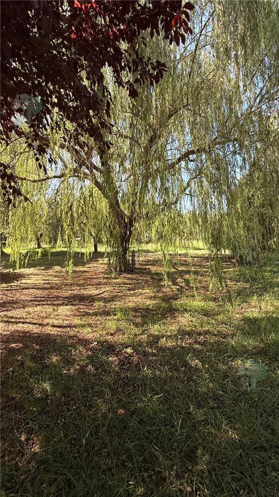 For sale Casale/Cascina/Casa colonica Capannori Castelvecchio #341 n.4