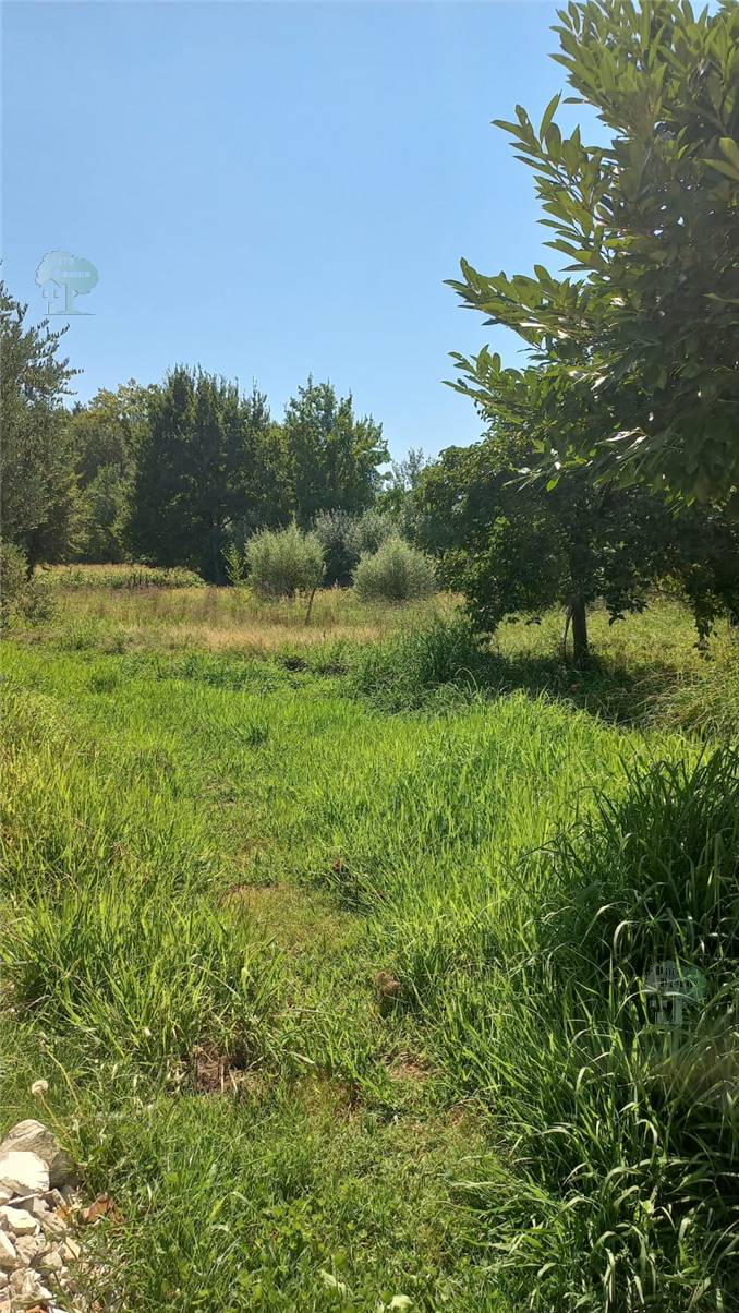 For sale Country house Capannori #351 n.5