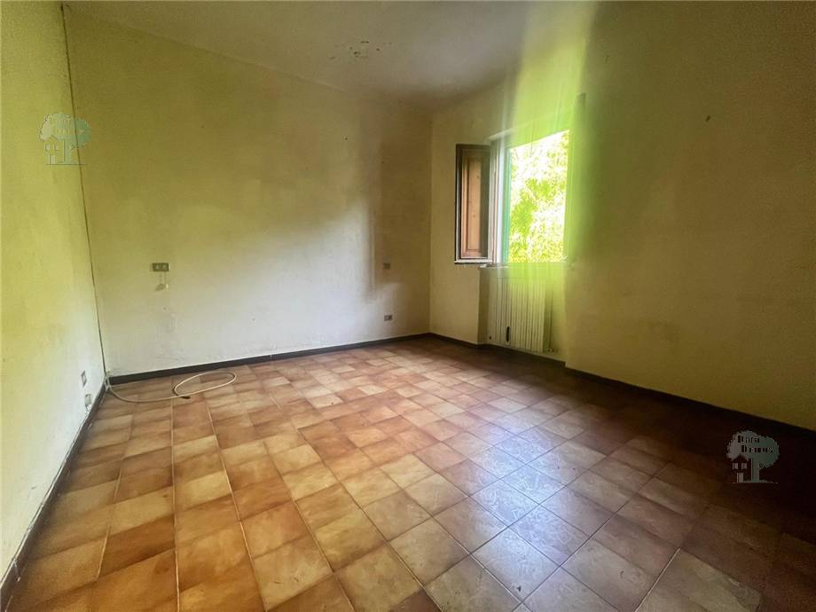 For sale Detached house Lucca Brancoli #361 n.3