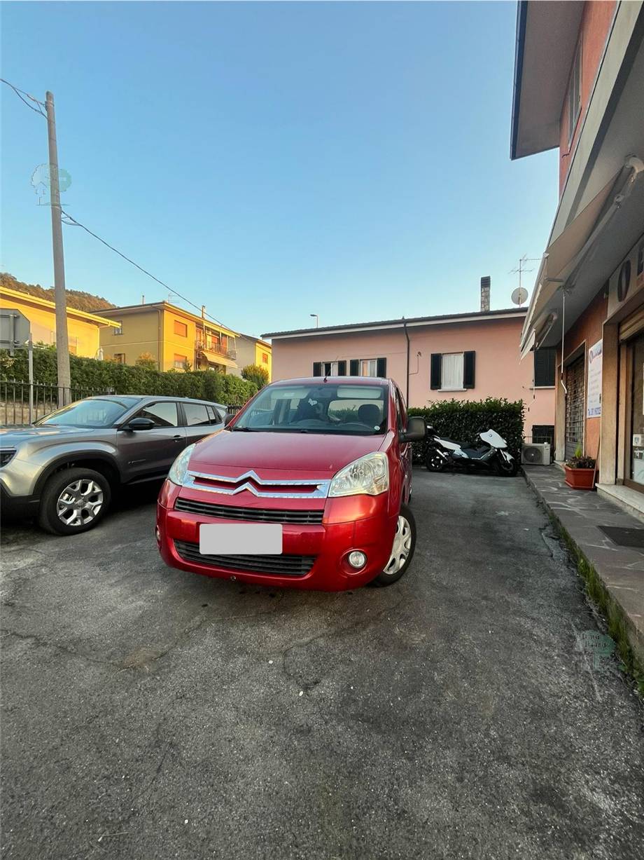 For sale Business premises Monsummano Terme #365 n.5