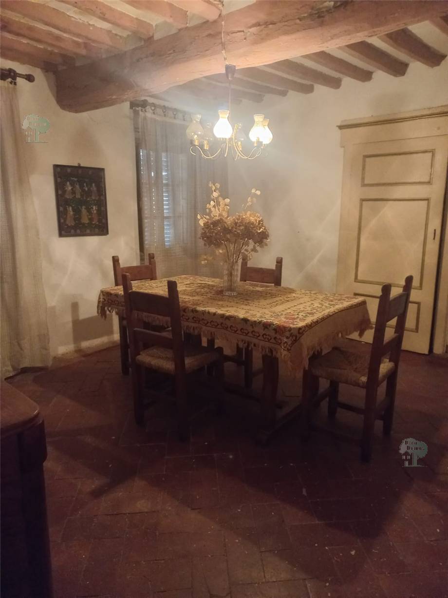 For sale Country house Villa Basilica Pariana #367 n.4