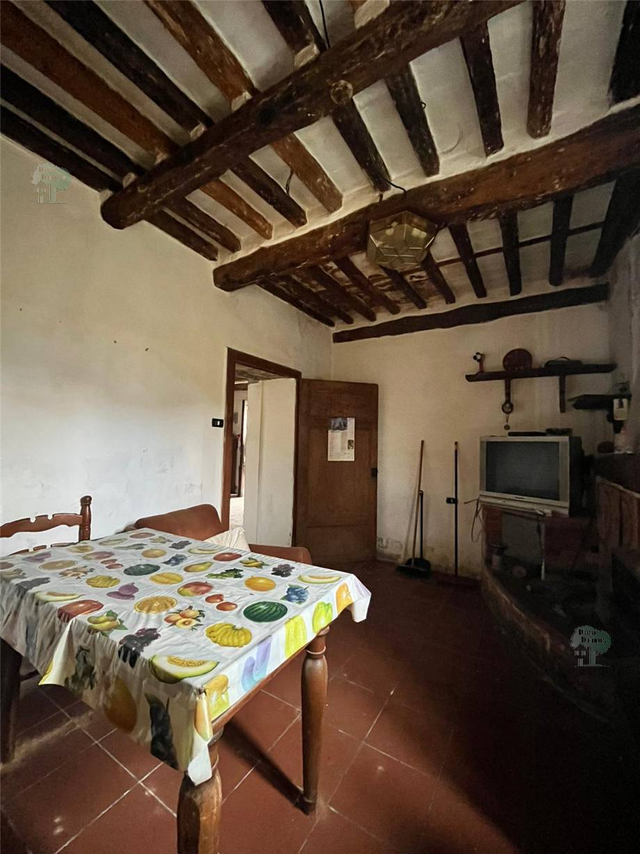 Venta Terratetto/Terracielo Lucca Saltocchio #378 n.4