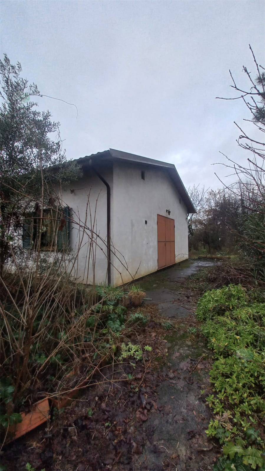 Venta Almacén Capannori #404 n.1
