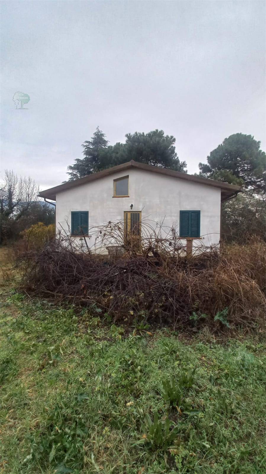 Venta Almacén Capannori #404 n.2