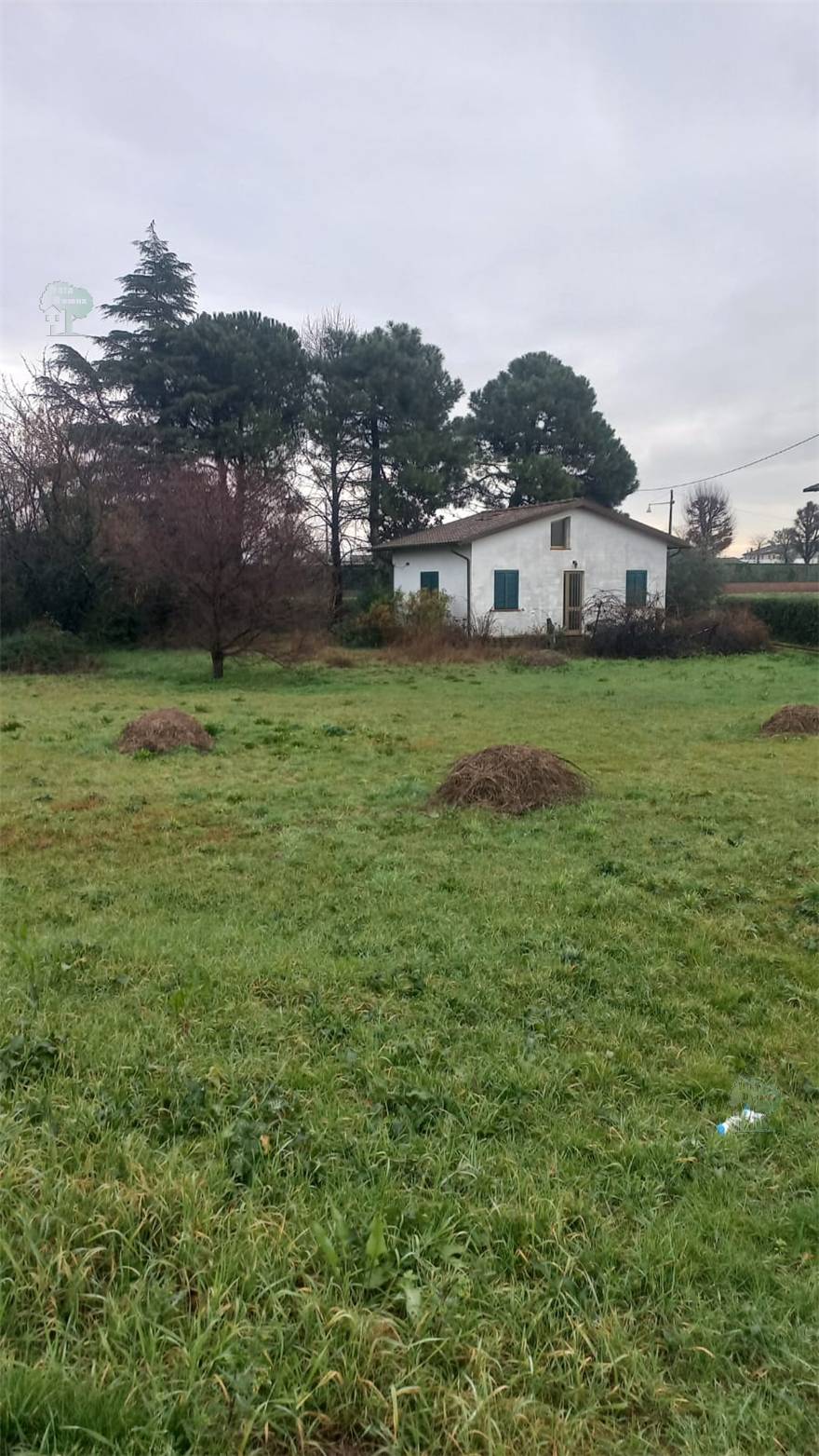 Venta Almacén Capannori #404 n.3