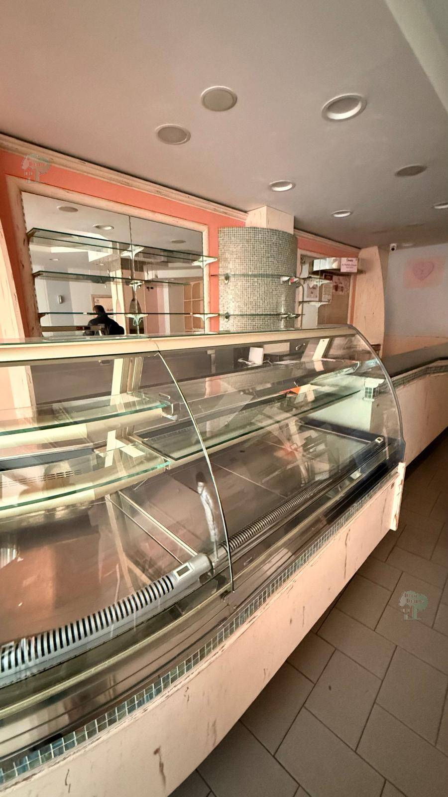 Affitto Locale commerciale Pescia #418 n.4