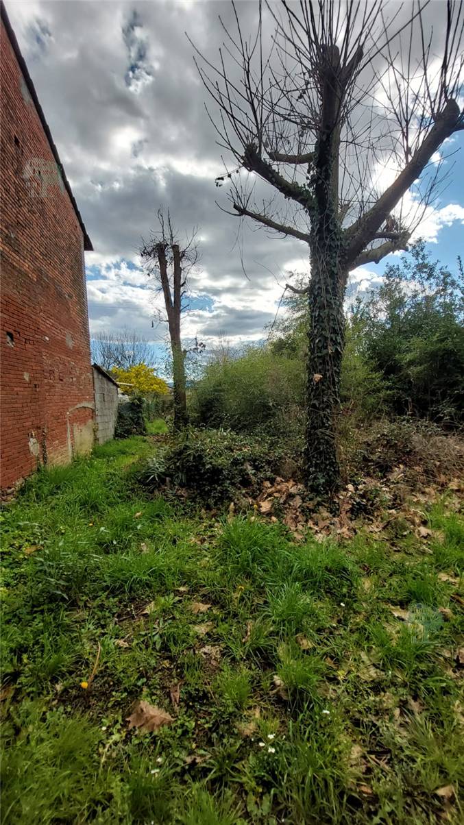 Vendita Casa indipendente Capannori  #420 n.3