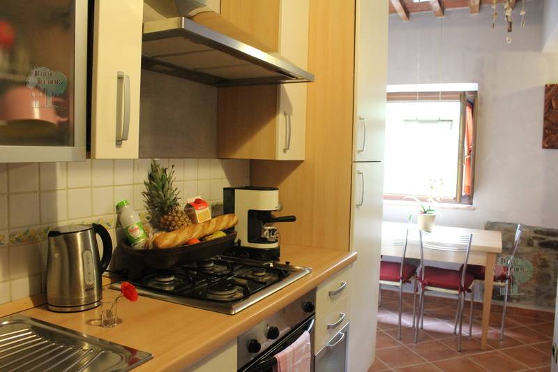 Venta Terratetto/Terracielo Capannori Massa Macinaia #432 n.5