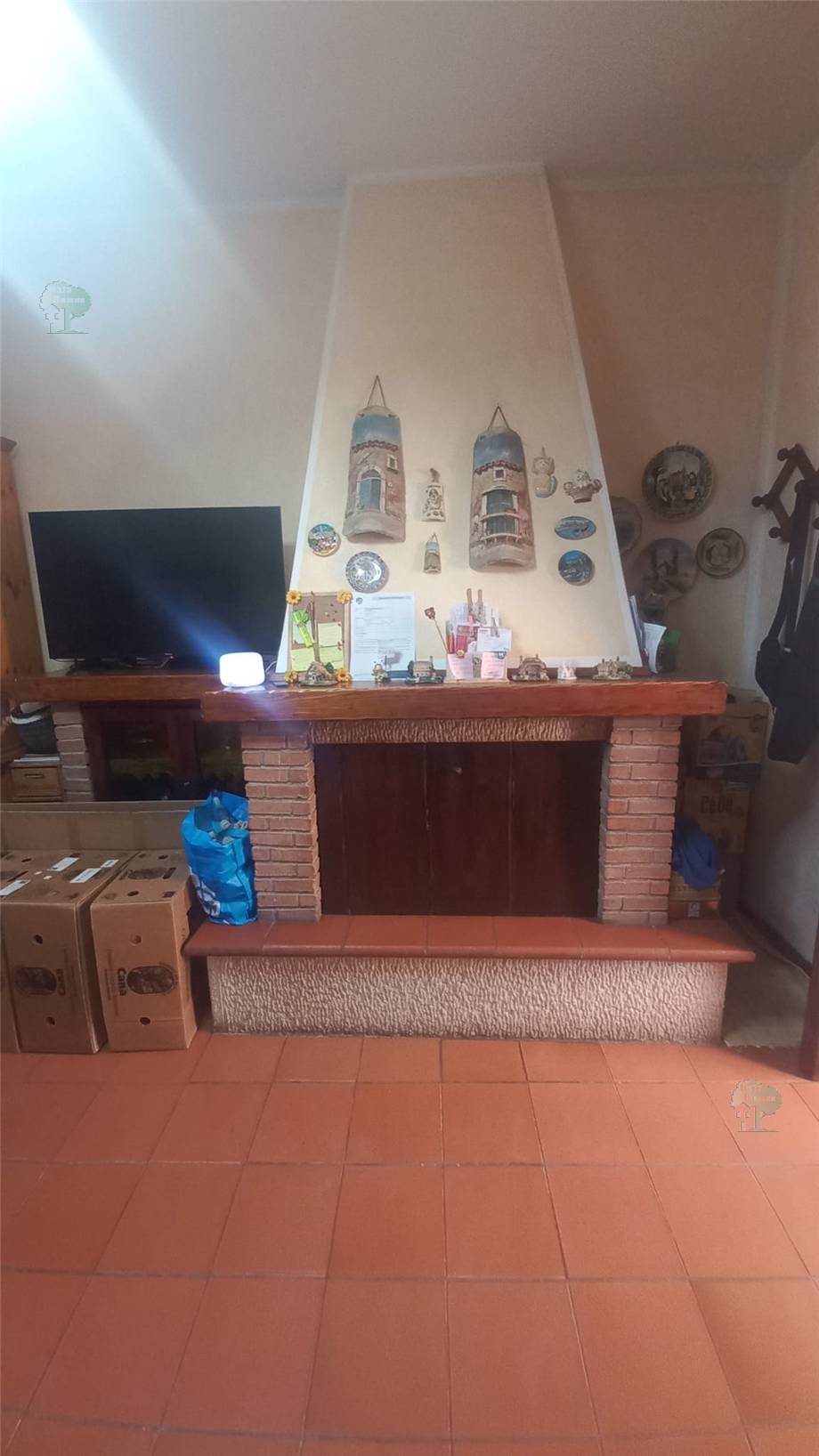 Terratetto/Terracielo Capannori 433