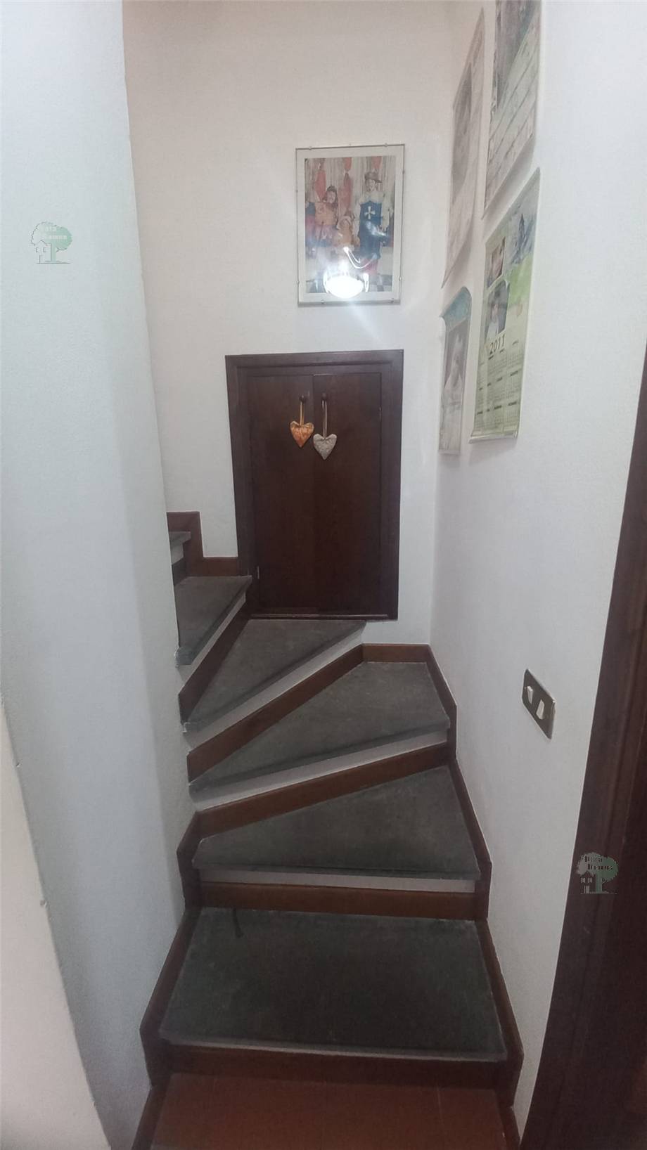 Vendita Terratetto/Terracielo Capannori  #433 n.5