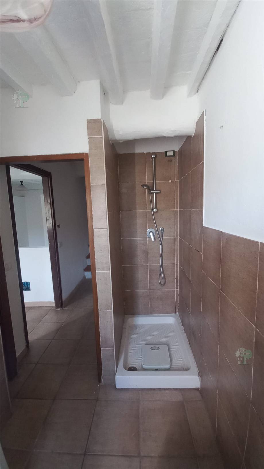 Vendita Terratetto/Terracielo Capannori  #434 n.4