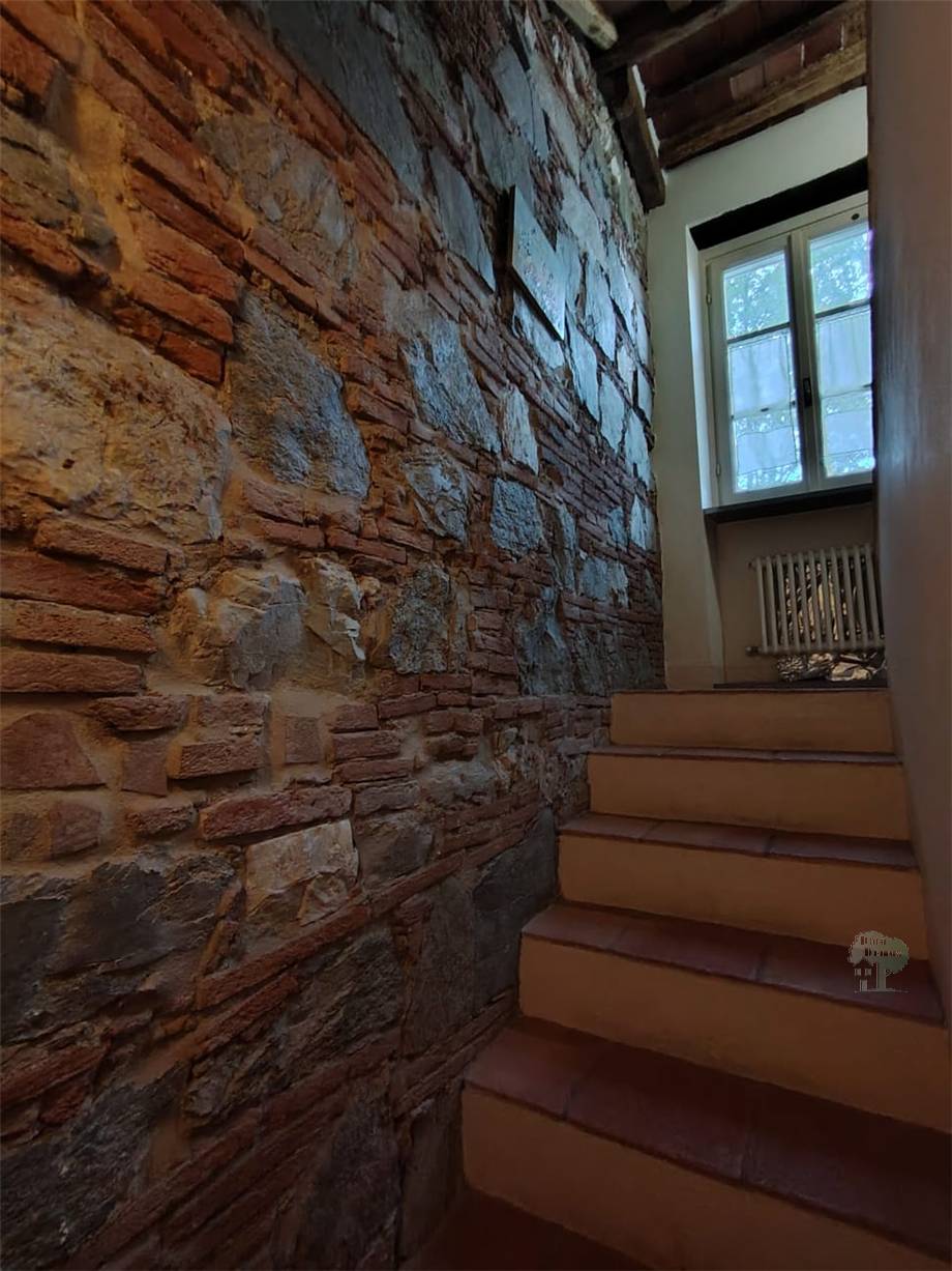 Vendita Terratetto/Terracielo Lucca Meati #444 n.5