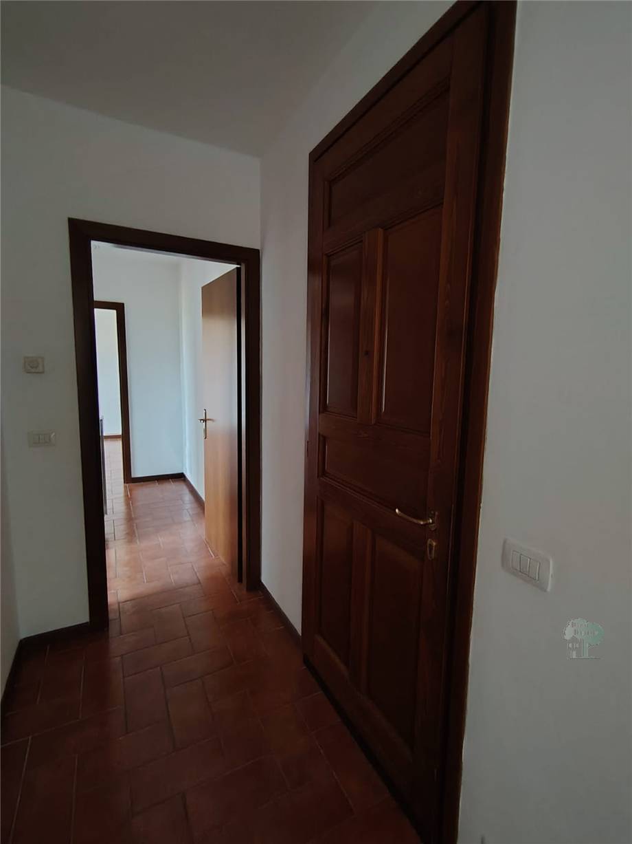 Vendita Appartamento Porcari  #448 n.5