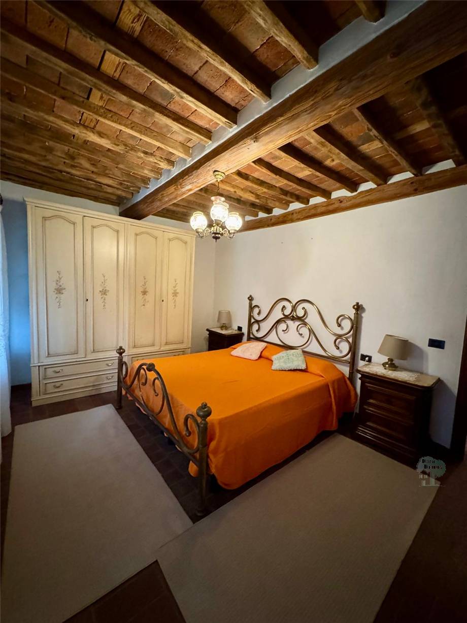 Affitto Appartamento Capannori #461 n.3