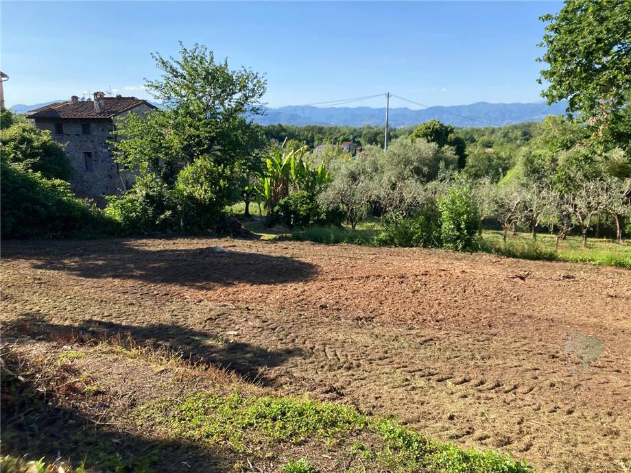 Vendita Terreno commerciale Capannori Massa Macinaia #466 n.1
