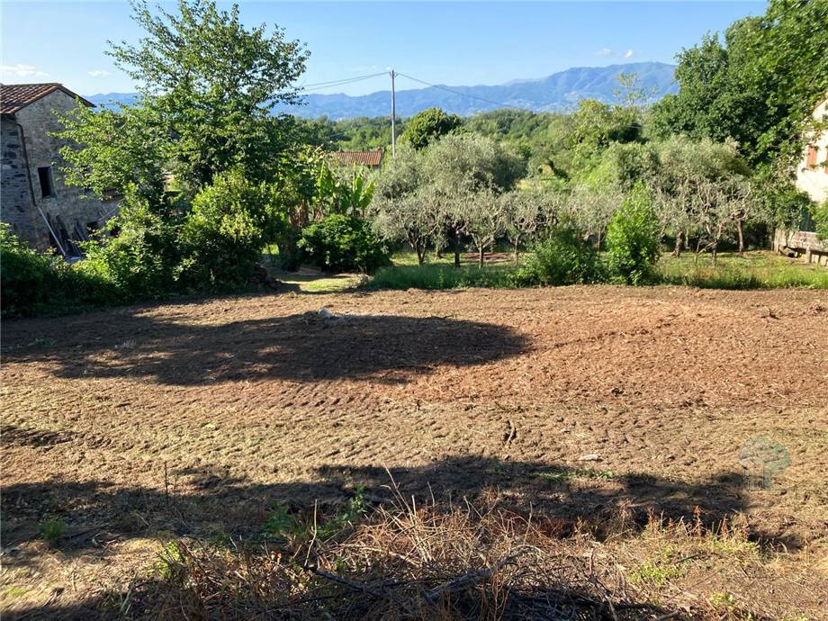 Vendita Terreno commerciale Capannori Massa Macinaia #466 n.4