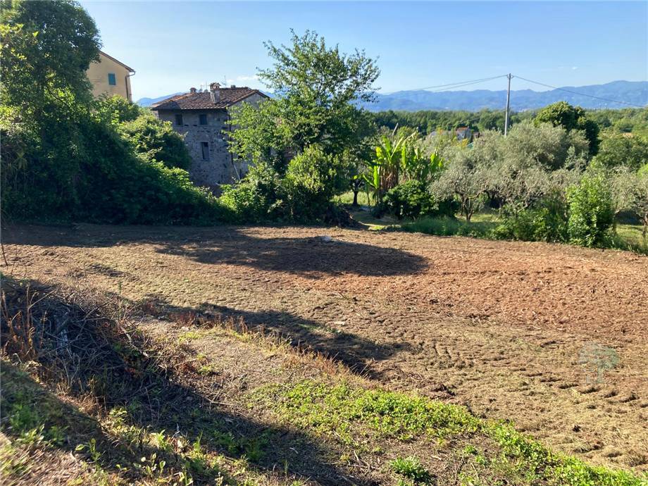 Vendita Terreno commerciale Capannori Massa Macinaia #466 n.5