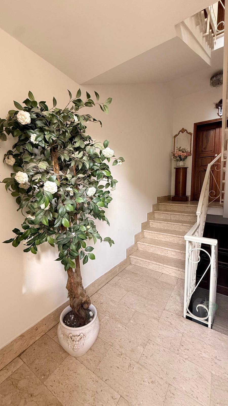 Vendita Villa bifamiliare Lucca San Gimignano di Moriano #468 n.2