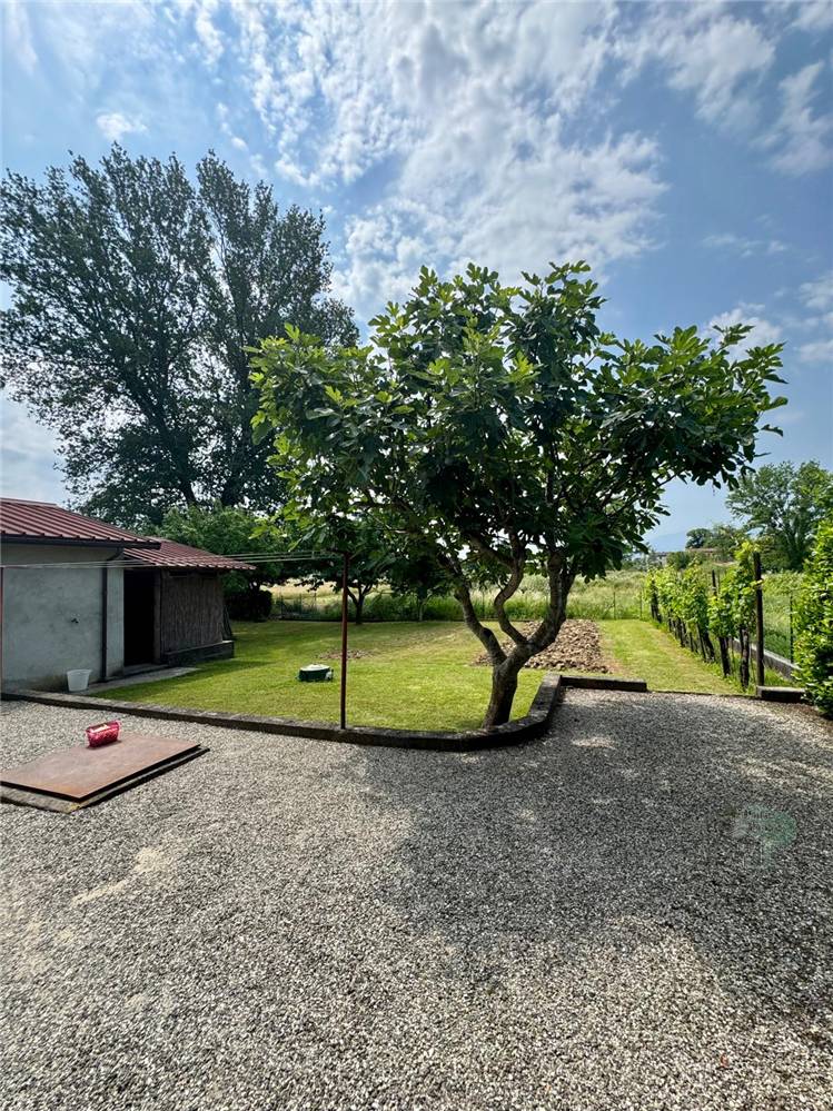 Vendita Villa bifamiliare Capannori  #473 n.2