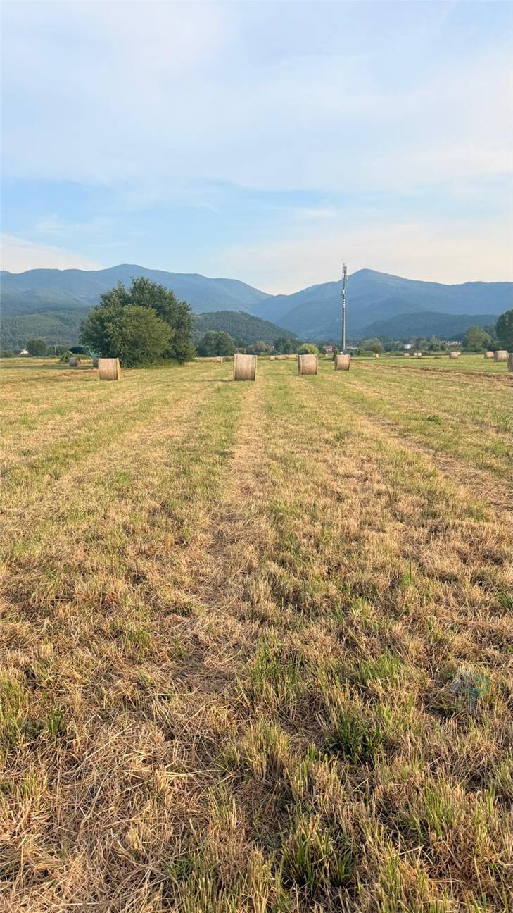 For sale Country house Capannori Verciano #482 n.2