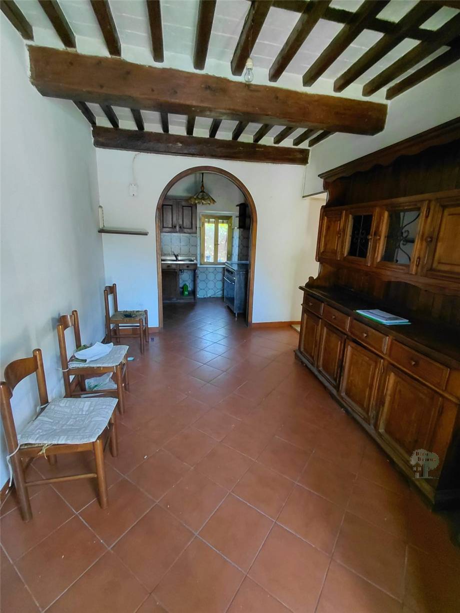 Venta Terratetto/Terracielo Capannori #489 n.2