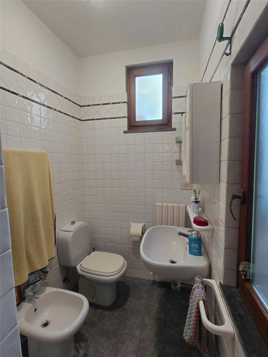 Venta Terratetto/Terracielo Lucca Santa Maria a Colle #491 n.4