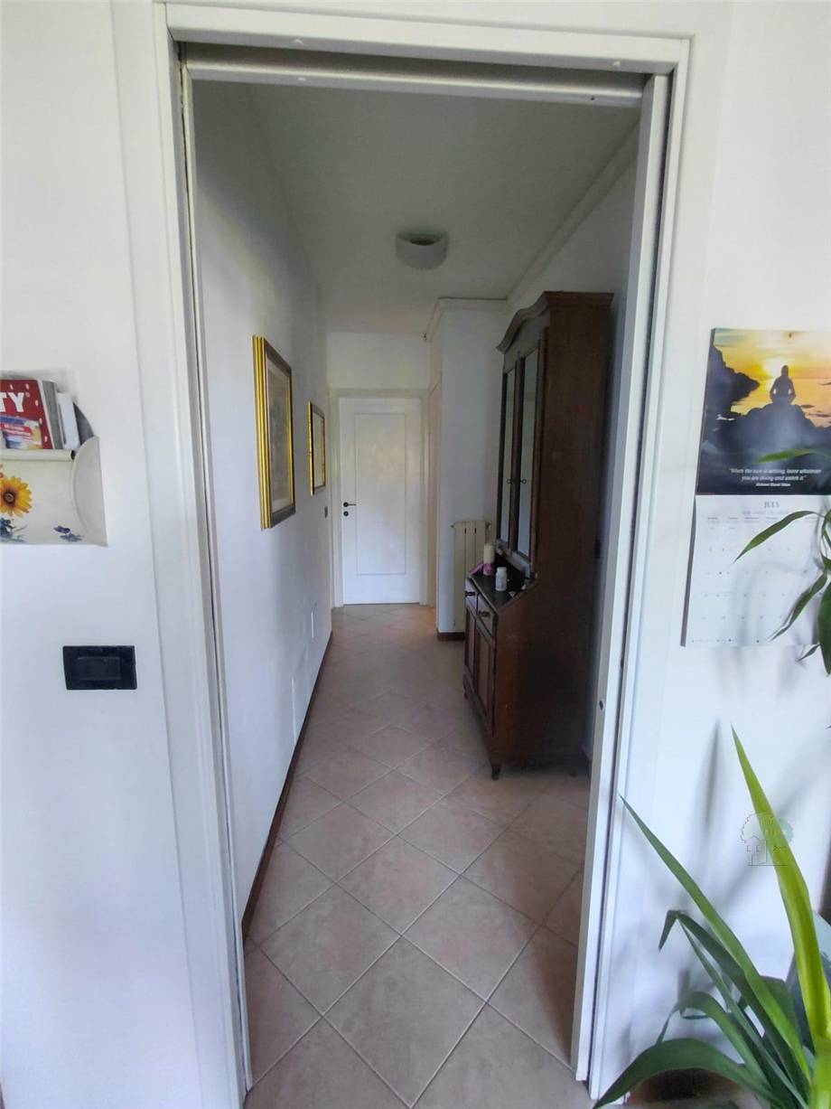 Vendita Appartamento Capannori  #495 n.4