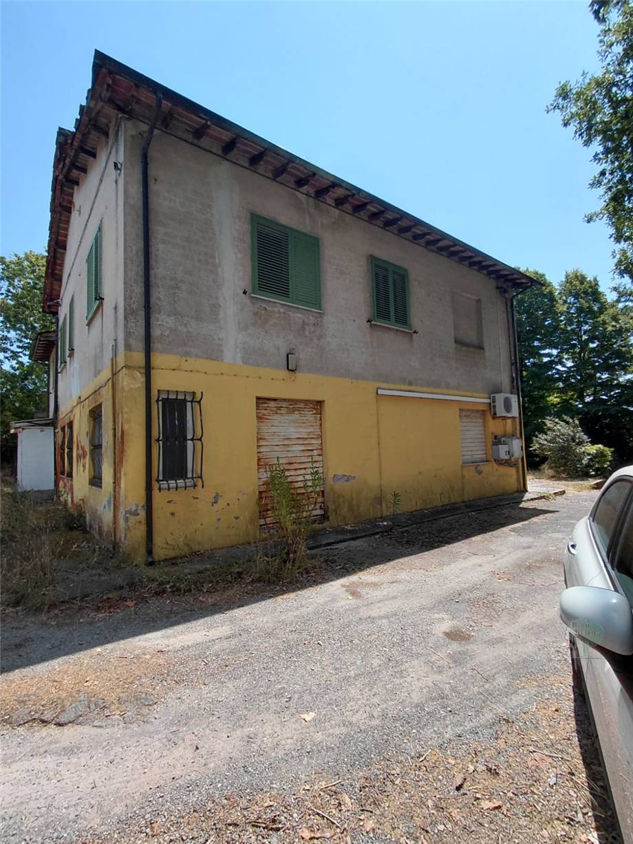 Casa bifamiliare Lucca 496