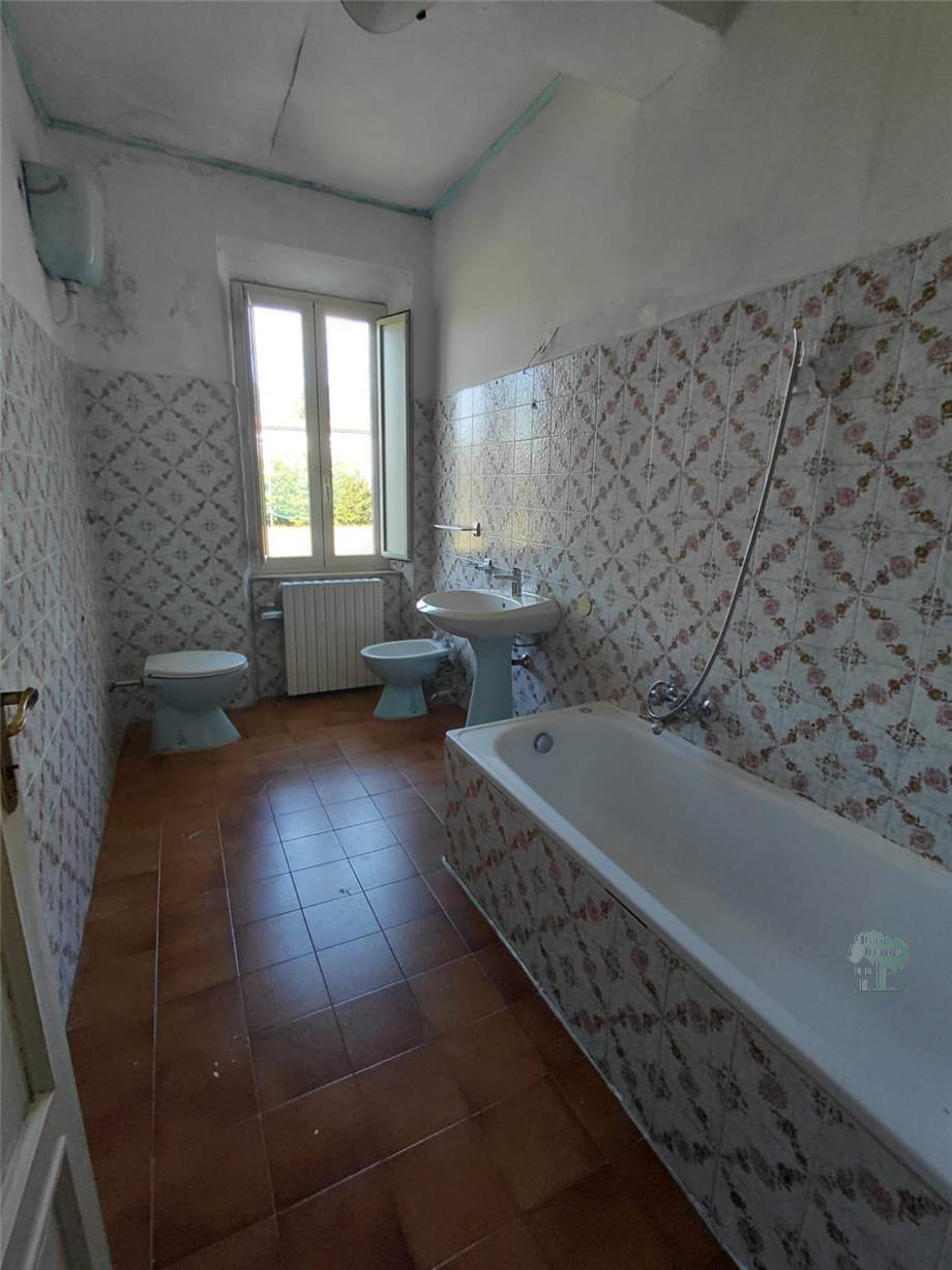 Venta Terratetto/Terracielo Capannori  #499 n.5