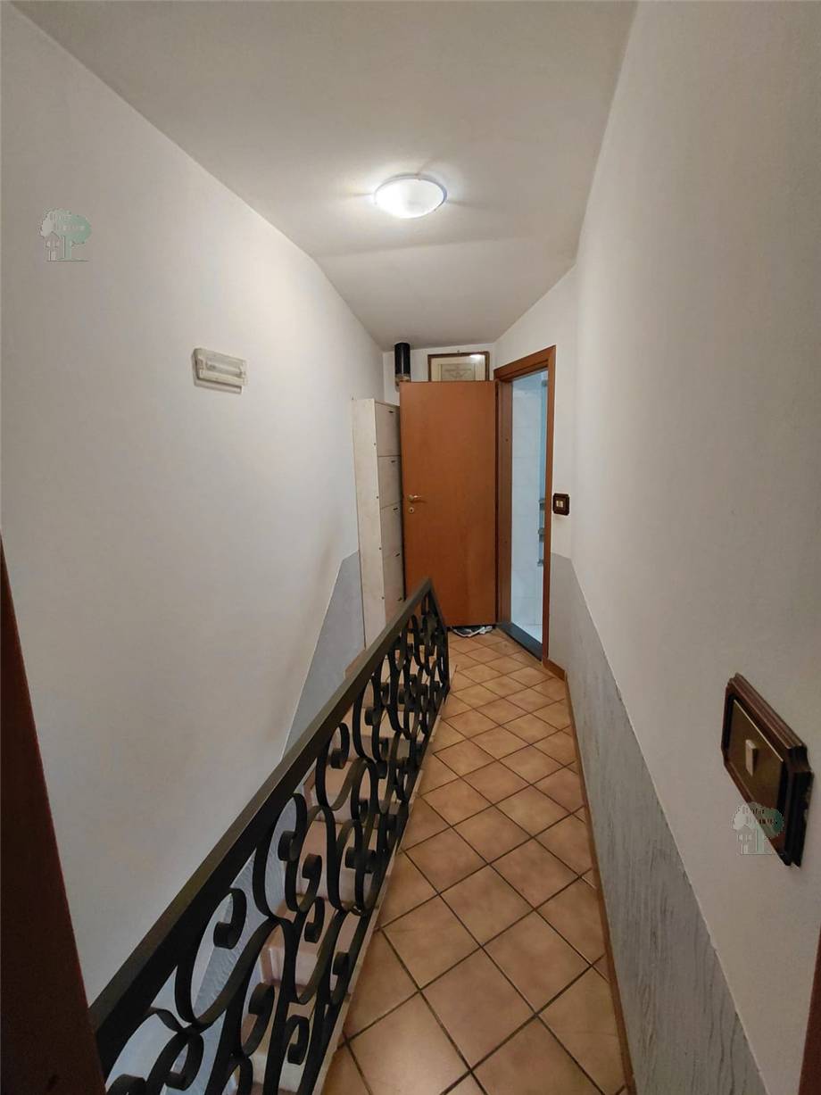 Venta Terratetto/Terracielo Montecarlo #504 n.4