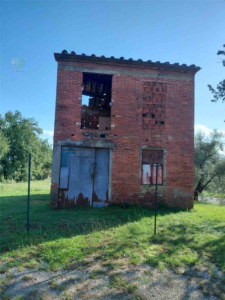 Vendita Rustico/Casa di campagna Montecarlo #509 n.1